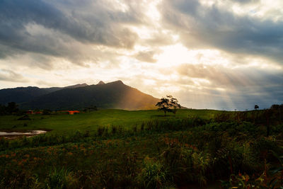 Scenic view of field against sky during sunset