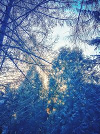 Full frame shot of blue sky