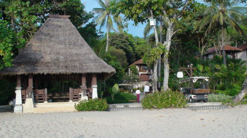 View of trees and houses in park