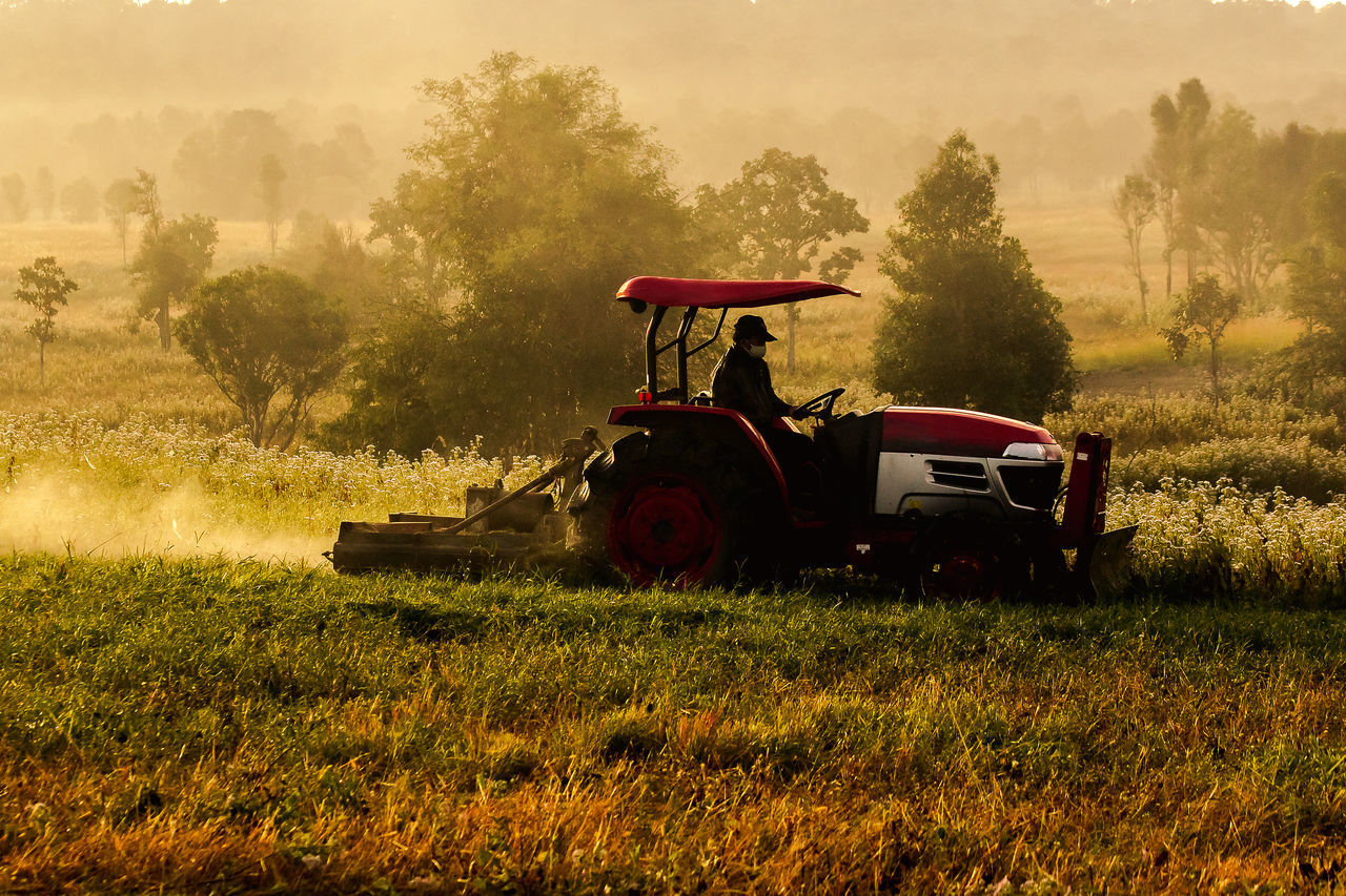 TRACTOR IN FIELD