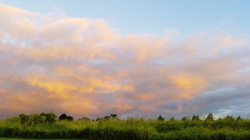 Scenic view of landscape against cloudy sky