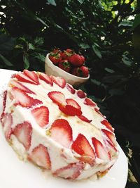 Close-up of cake slice in plate