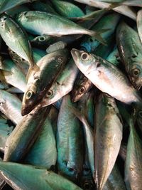 Close-up of fish for sale in market