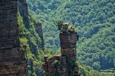 High angle view of rock formation amidst forest