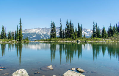 Scenic view of lake by trees against sky