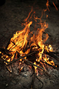 Close-up of bonfire