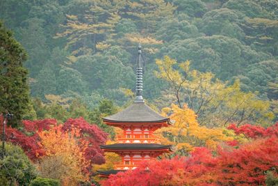 View of temple in forest during autumn