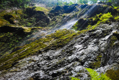 Scenic view of waterfall in forest