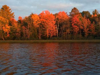 Scenic view of lake in front of autumn trees against sky