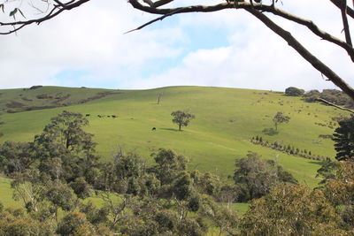 Scenic view of landscape against sky