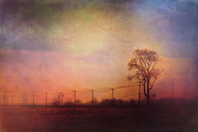 Scenic view of field against sky at sunset