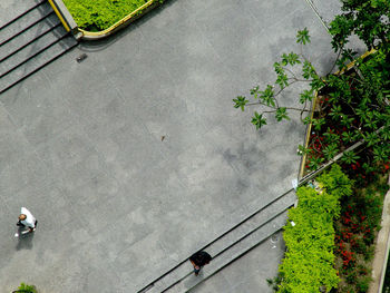 High angle view of men walking on footpath
