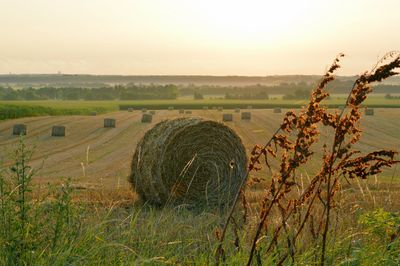 Hay bales on field against sky