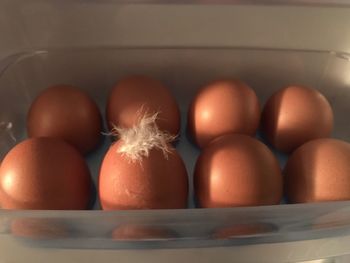 Close-up of eggs in container