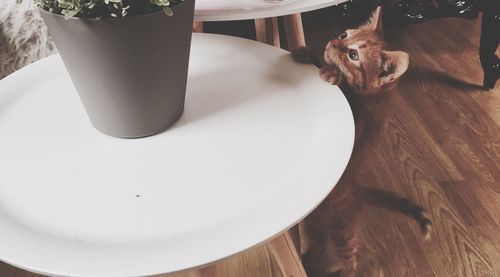 Close-up of food on table