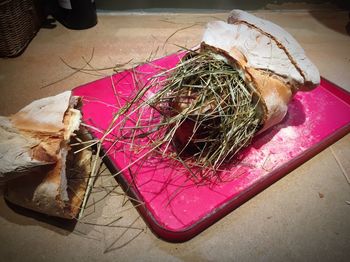 Close-up of food on table