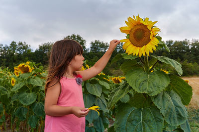 Little toddler boy, child in sunflower field, playing with big flower on a cloudy day.