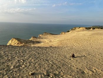 land