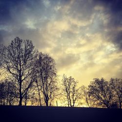 Silhouette bare trees against sky during sunset