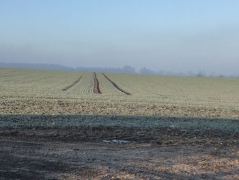 Scenic view of field against sky