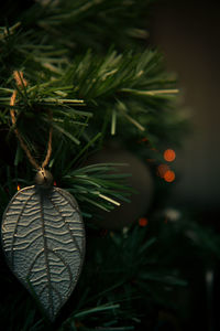 Close-up of christmas decoration hanging on tree