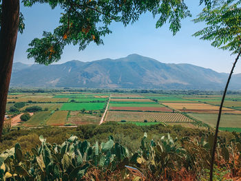 landscape