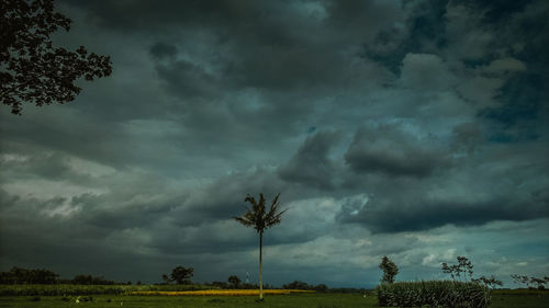 Scenic view of trees on field against storm clouds