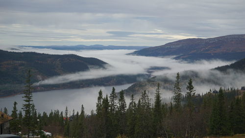 Panoramic shot of trees and mountains against sky