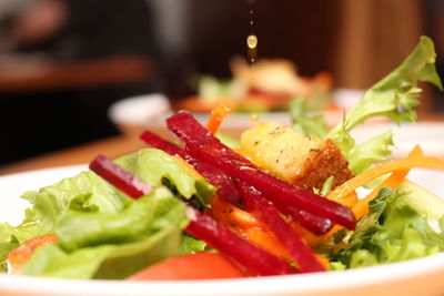 Close-up of salad in plate