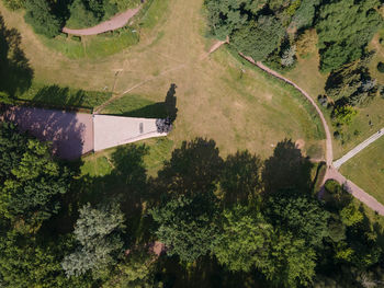 High angle view of road amidst trees