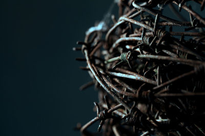 Close-up of metal chain against black background