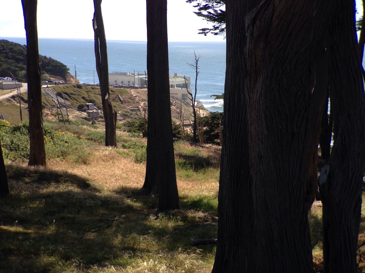 Sutro Baths Ruins