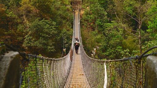Rear view of people on footbridge in forest