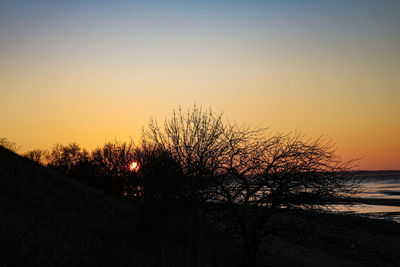 Silhouette bare trees against sky during sunset