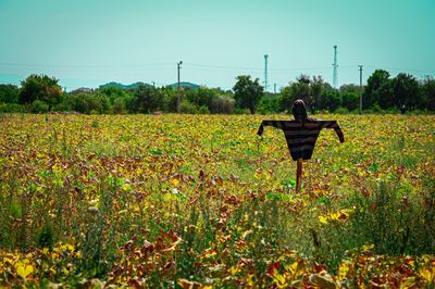 Rear view of person on field against sky
