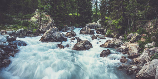 Scenic view of waterfall in forest