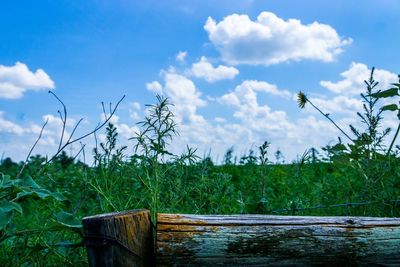 Scenic view of field against cloudy sky