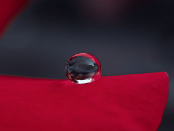 Close-up of water drop on glass