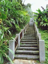 Steps leading to staircase