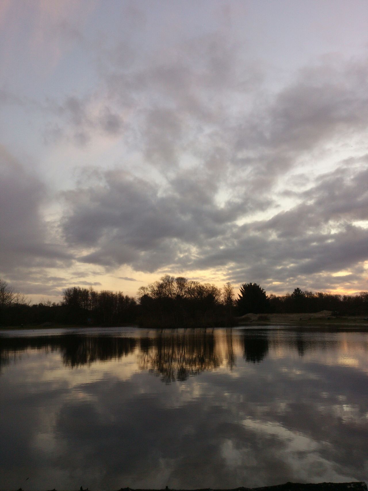 Berkenplas