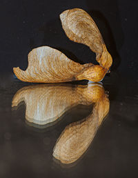 High angle view of dried leaves on table