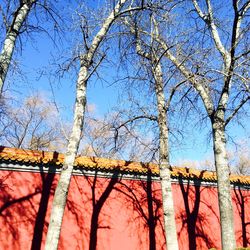 Low angle view of bare trees against blue sky