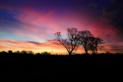 Silhouette of trees at sunset