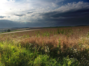 Scenic view of grassy field against cloudy sky