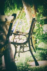 Close-up of bench in park