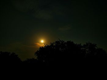 Silhouette trees against sky at night