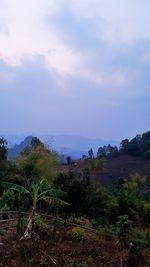 Scenic view of field against sky during sunset