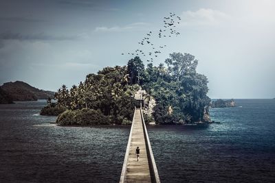 Birds flying over sea against sky