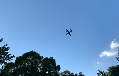 Low angle view of airplane flying in blue sky