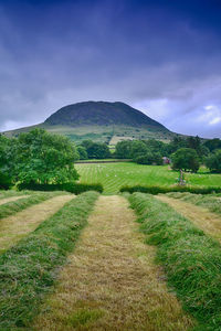 Scenic view of field and mountains against sky